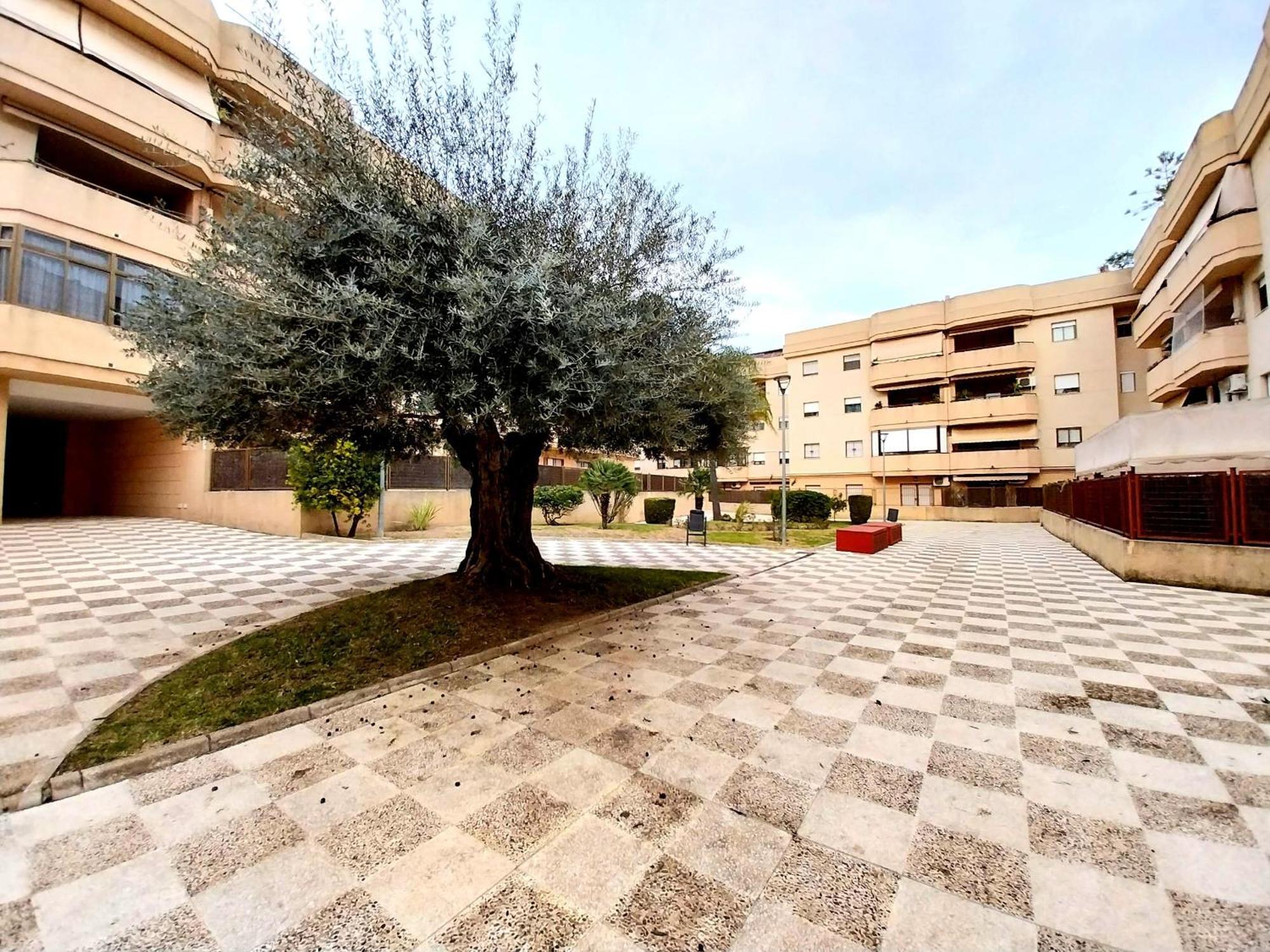 Top Suite Apartment Jerez Jardin Y Patio Jerez de la Frontera Exterior photo